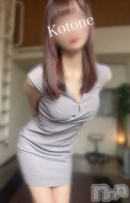 㡦ȯĥꥢ󥺥Ƥޤơ(ޥƥåȥ˥) ײȤ(22)21̥֥֤äѤĥ