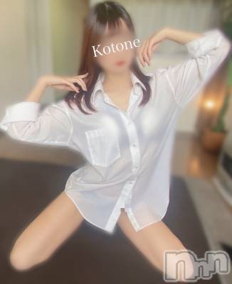 㡦ȯĥꥢ󥺥Ƥޤơ(ޥƥåȥ˥) ײȤ(22)210̥֥Ķ쥢롢ƨ