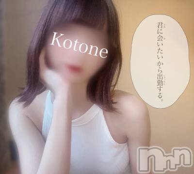 㡦ȯĥꥢ󥺥Ƥޤơ(ޥƥåȥ˥) ײȤ(22)219ַ̥֥˲񤤤жФ