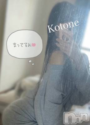 㡦ȯĥꥢ󥺥Ƥޤơ(ޥƥåȥ˥) ײȤ(22)36̥֥΢ҤǤ