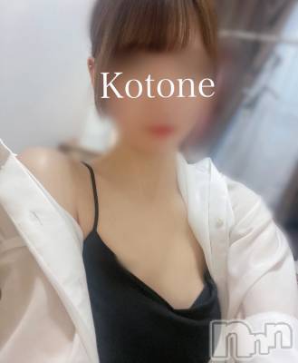 㡦ȯĥꥢ󥺥Ƥޤơ(ޥƥåȥ˥) ײȤ(22)531̥֥TwitterϤäȤ褩