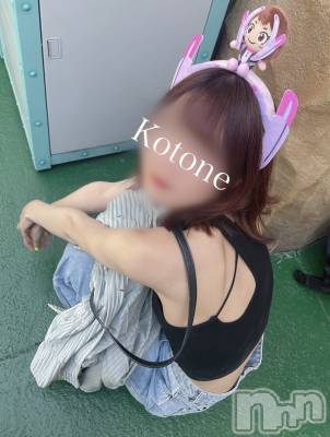 㡦ȯĥꥢ󥺥Ƥޤơ(ޥƥåȥ˥) ײȤ(22)66̥֥֤Կ͵❓