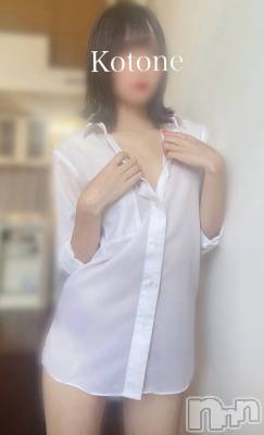 㡦ȯĥꥢ󥺥Ƥޤơ(ޥƥåȥ˥) ײȤ(22)89̥֥ƤˤĤơ