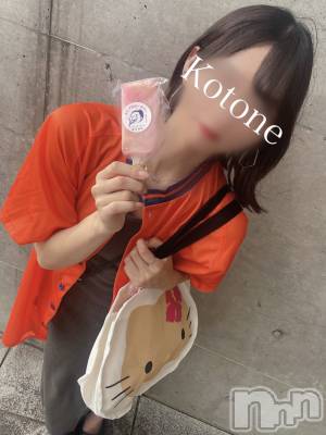 㡦ȯĥꥢ󥺥Ƥޤơ(ޥƥåȥ˥) ײȤ(22)812ֺ̥֥ν׾
