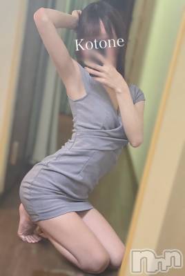 㡦ȯĥꥢ󥺥Ƥޤơ(ޥƥåȥ˥) ײȤ(22)92̥֥֡ںνжФˤĤѹޤۡ