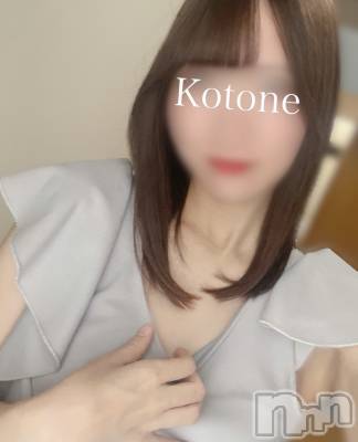 㡦ȯĥꥢ󥺥Ƥޤơ(ޥƥåȥ˥) ײȤ(22)1030ֺ̥֥ˤ