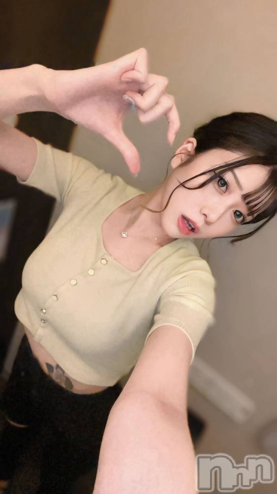 ƲХ顦151-A() ʤ618̥֥ϥץ❤️‍🔥