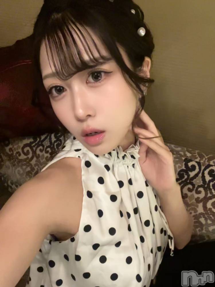 ƲХ顦151-A() ʤ910̥֥֥ɥå🎶