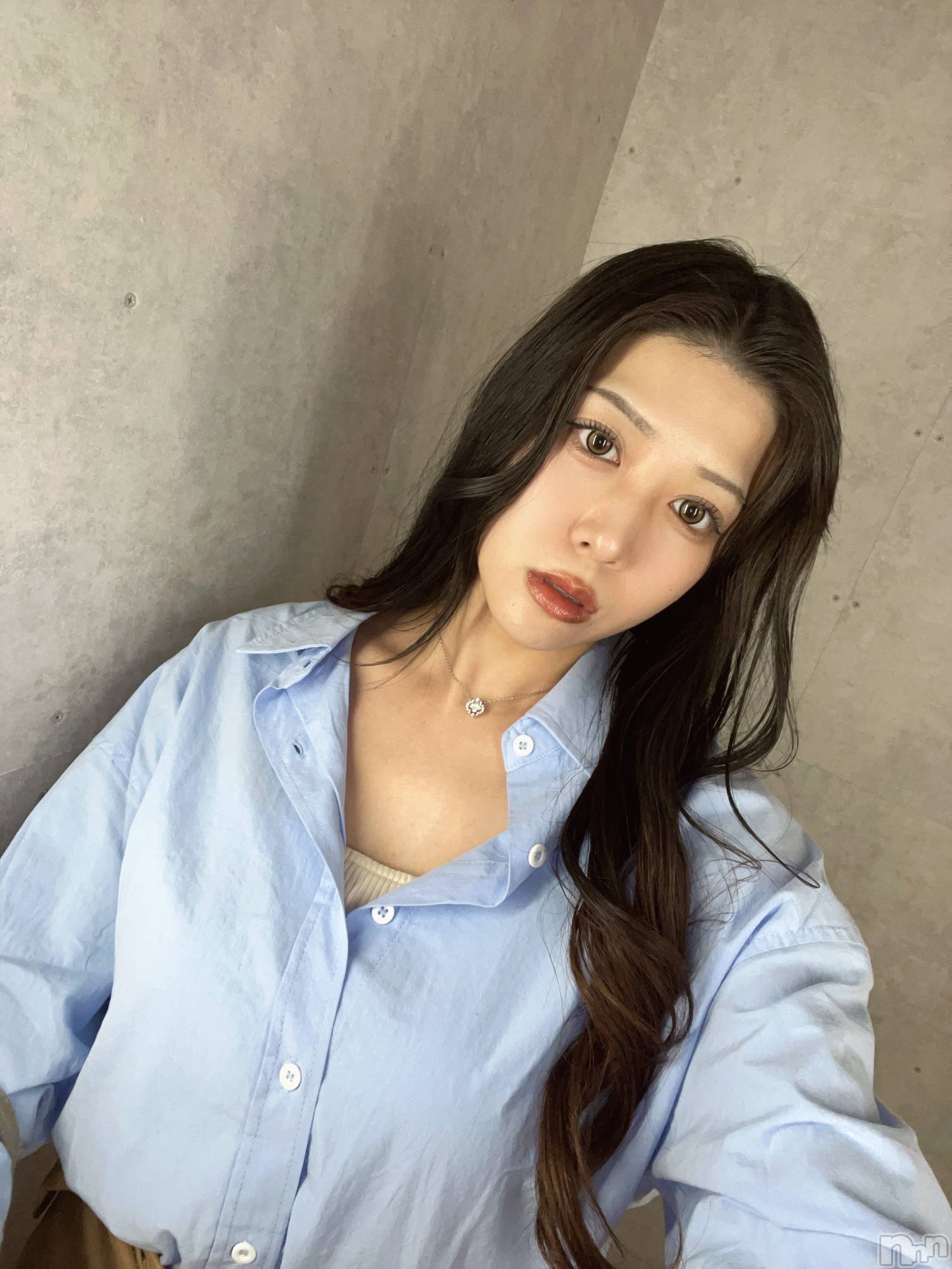 ��Ʋ����Х��顦�����151-A(������������) ��2026ǯ4��15���̥�֥����֥�ե�å���🌸��