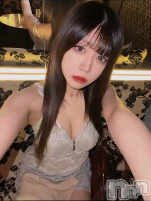 ƲХ顦151-A() ʤ27ֽ̥֥жС