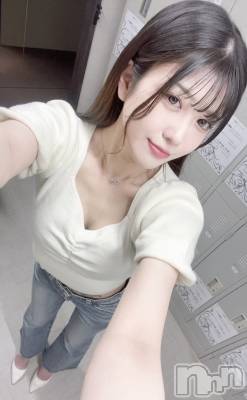 ƲХ顦151-A() ʤ614ֲ̥֥ĥФ🌟