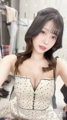 ƲХ顦151-A() ʤ810̥֥Ķȡ