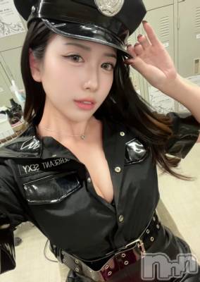 ƲХ顦151-A() ʤ111̥֥֤äȿ㤦С