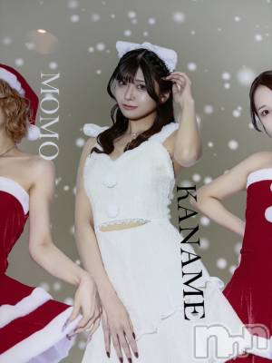 ��Ʋ����Х��顦�����151-A(������������) ���ʤ��12��17���̥�֥����ֺ����⤪����ͤǤ�❤️��