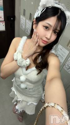 ��Ʋ����Х��顦�����151-A(������������) ���ʤ��12��27���̥�֥�����30���ޤǤ���ޤ�♥️��