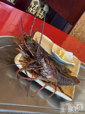 ��Ʋ����Х��顦�����151-A(������������) ���ʤ��3��14���̥�֥�����ư��❤️��