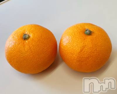 長岡デリヘル 長岡の可憐な妻たち～秘密の逢瀬～(ナガオカノカレンナツマタチ～ヒミツノオウセ～) 由良 泉(31)の3月8日写メブログ「庭のみかんの木🌳のみかん🍊」