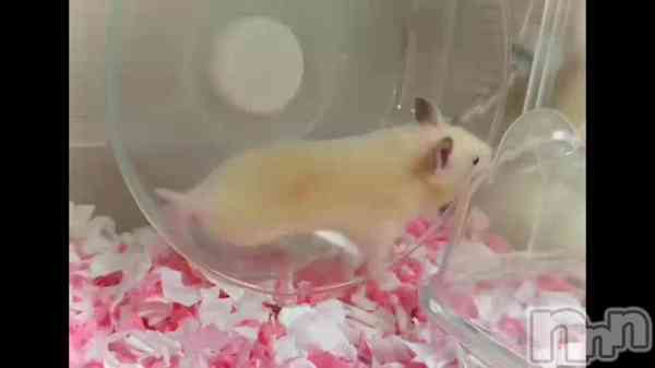 由良 泉の動画 音あり推奨🔊