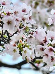 佐久発デリヘル佐久上田人妻隊(サクウエダヒトヅマタイ) なるみ(45)の3月26日写メブログ「綺麗に🩷」