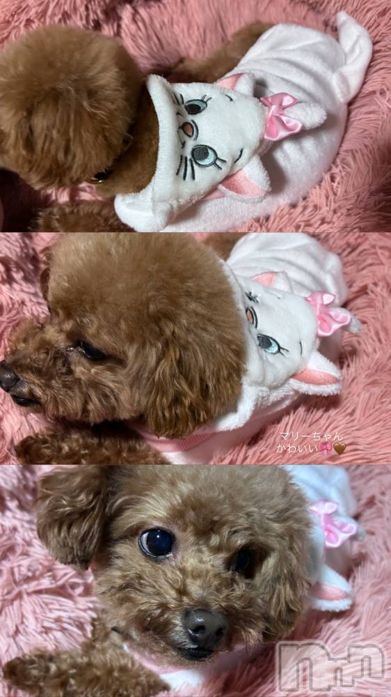 Х顦Armada(ޡ) ߤۤ1121̥֥😻