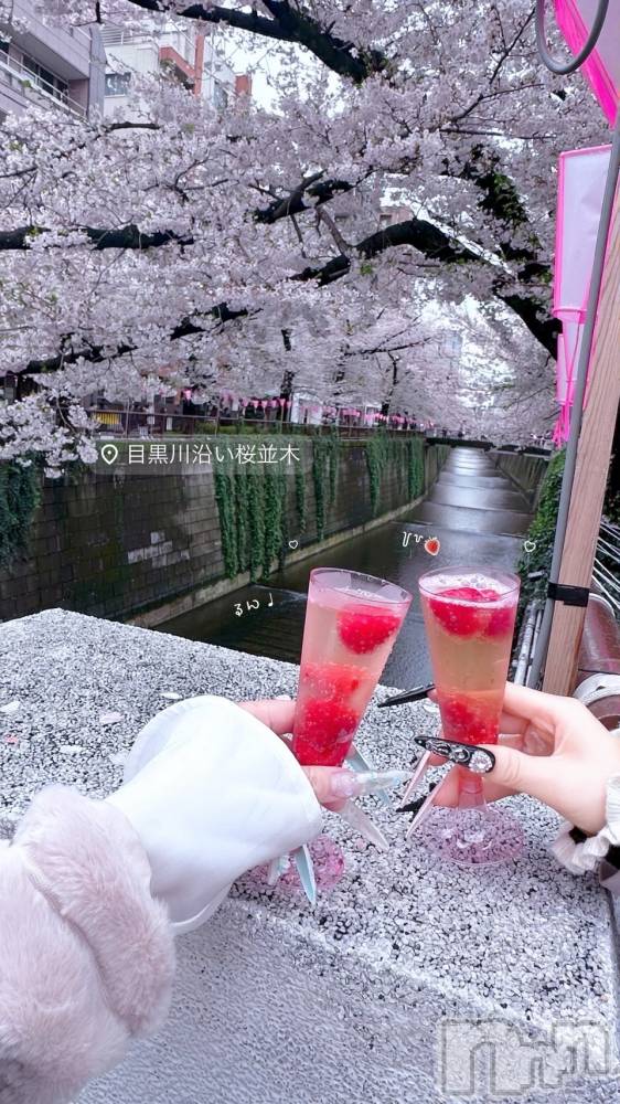 �����������Х��顦�����Armada(����ޡ���) �ߤ��ۤ�4��3���̥�֥����֤� ̫ ‹ ♡��