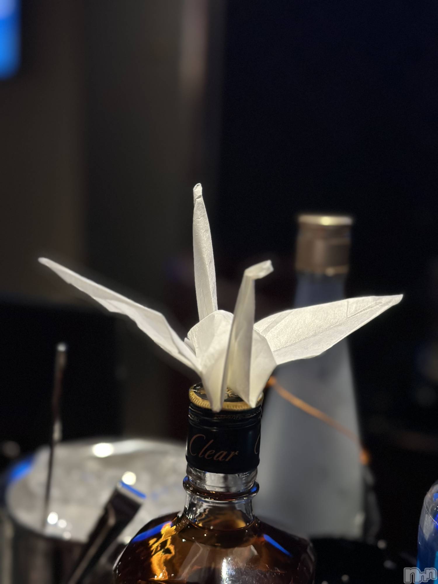 Х顦Armada(ޡ) 2024ǯ124̥֥🕊️