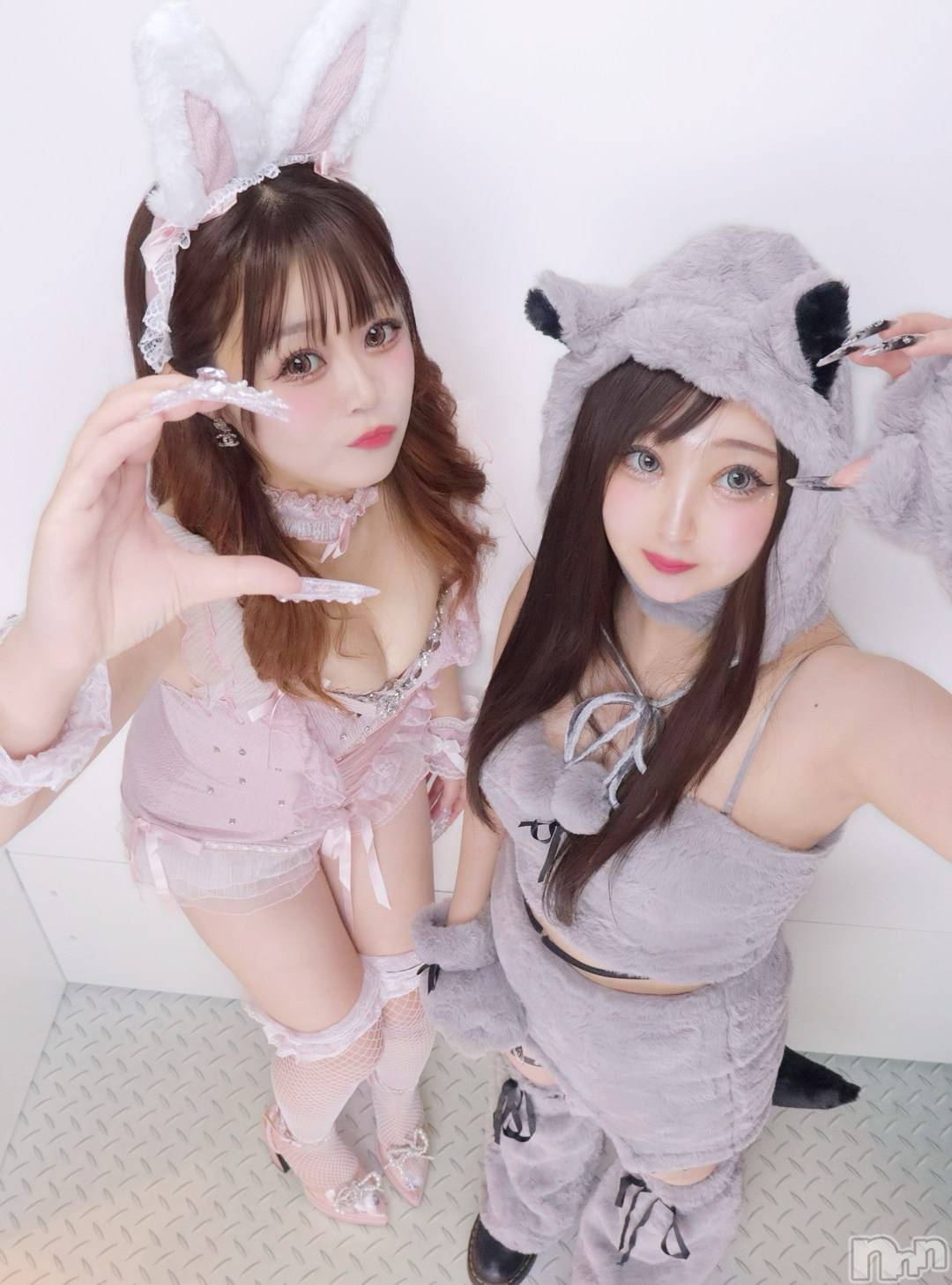 Х顦Armada(ޡ) 2025ǯ1110̥֥💘