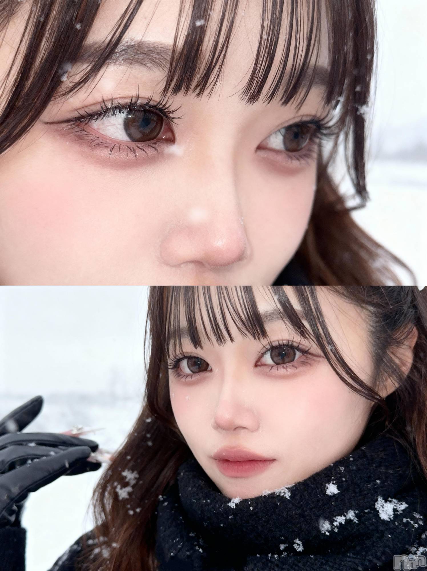 Х顦Armada(ޡ) 2025ǯ119̥֥😽