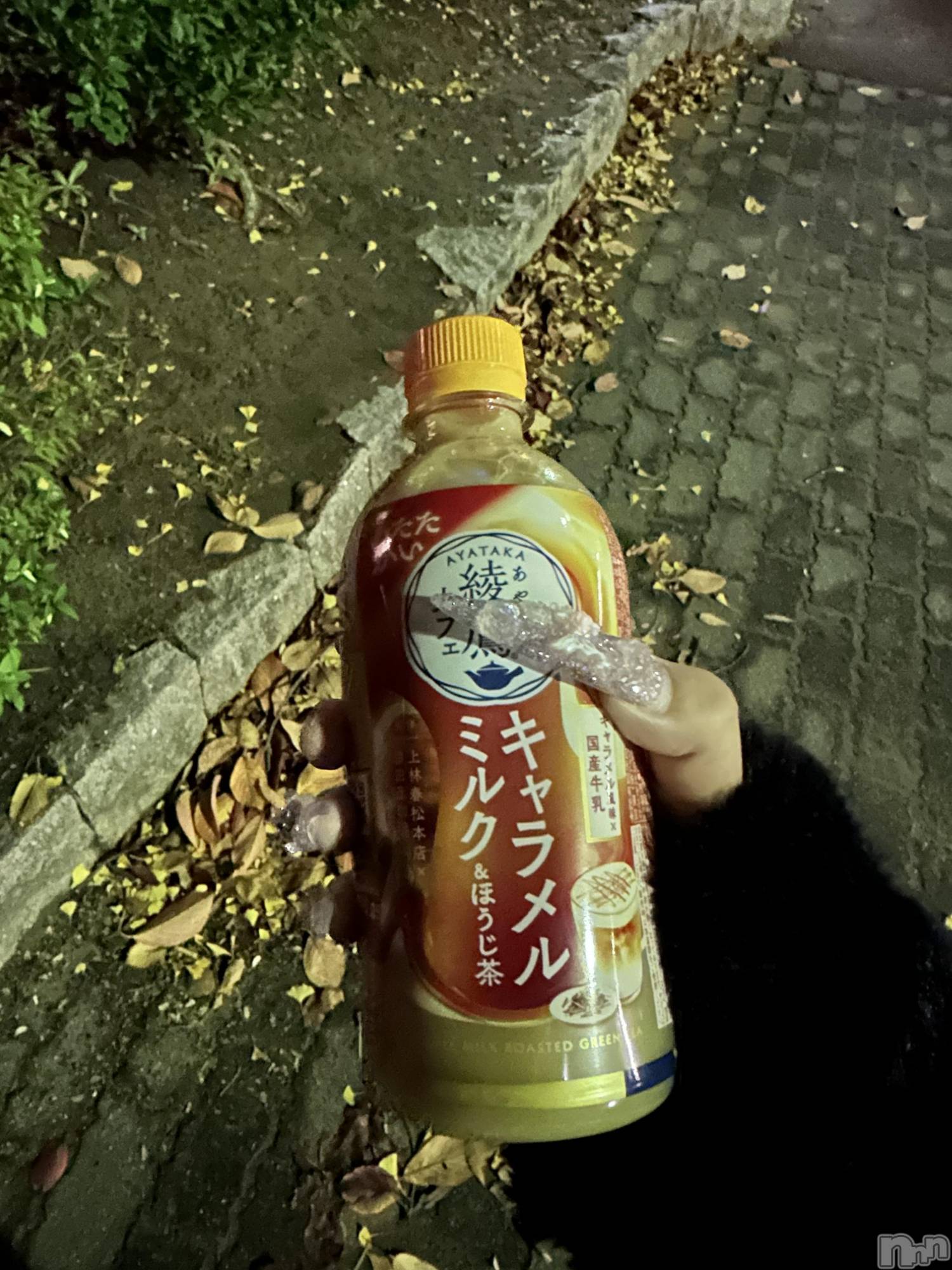 Х顦Armada(ޡ) 2025ǯ1115̥֥🙋🏻‍️