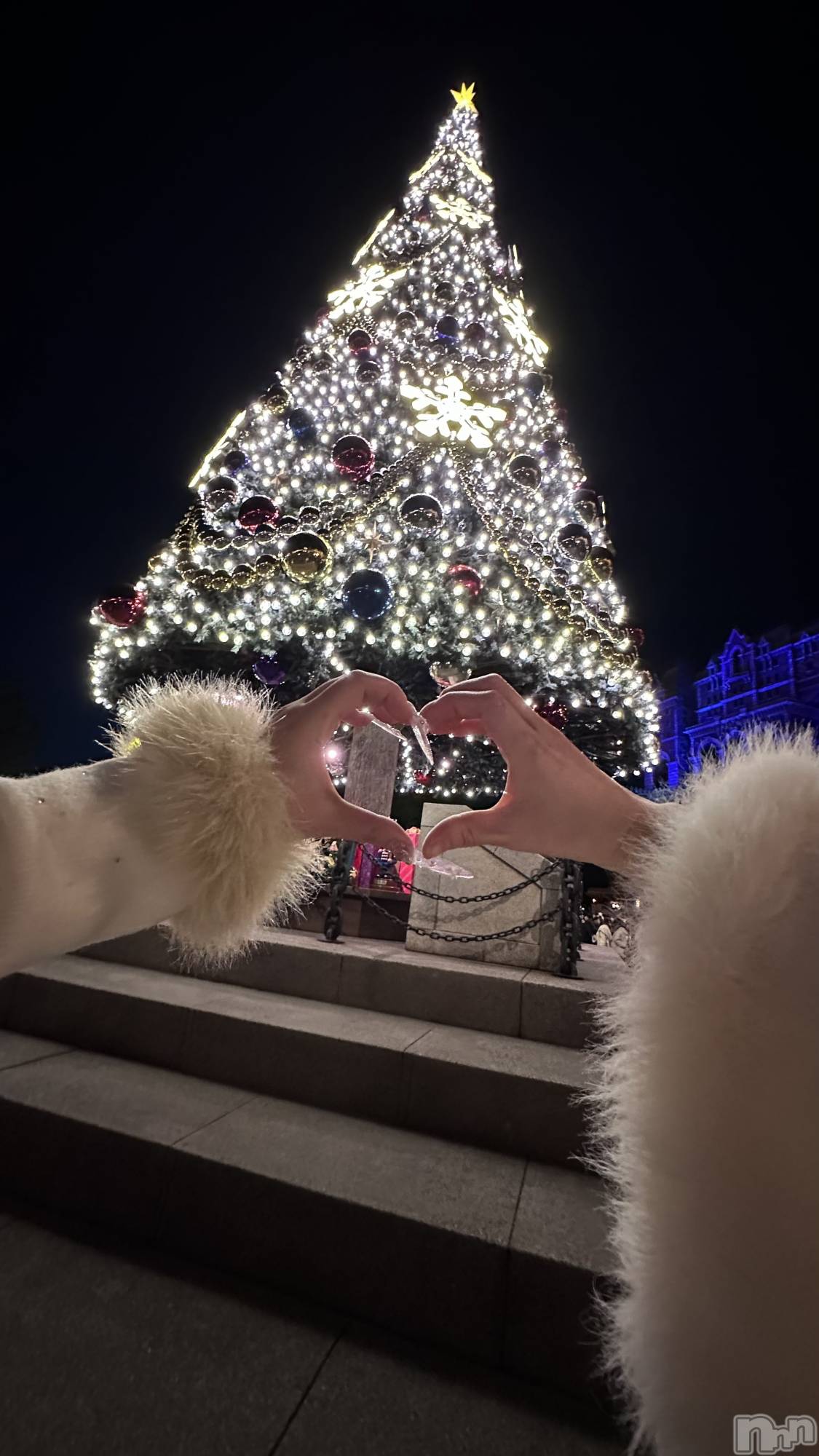 Х顦Armada(ޡ) 2025ǯ1128̥֥🐤