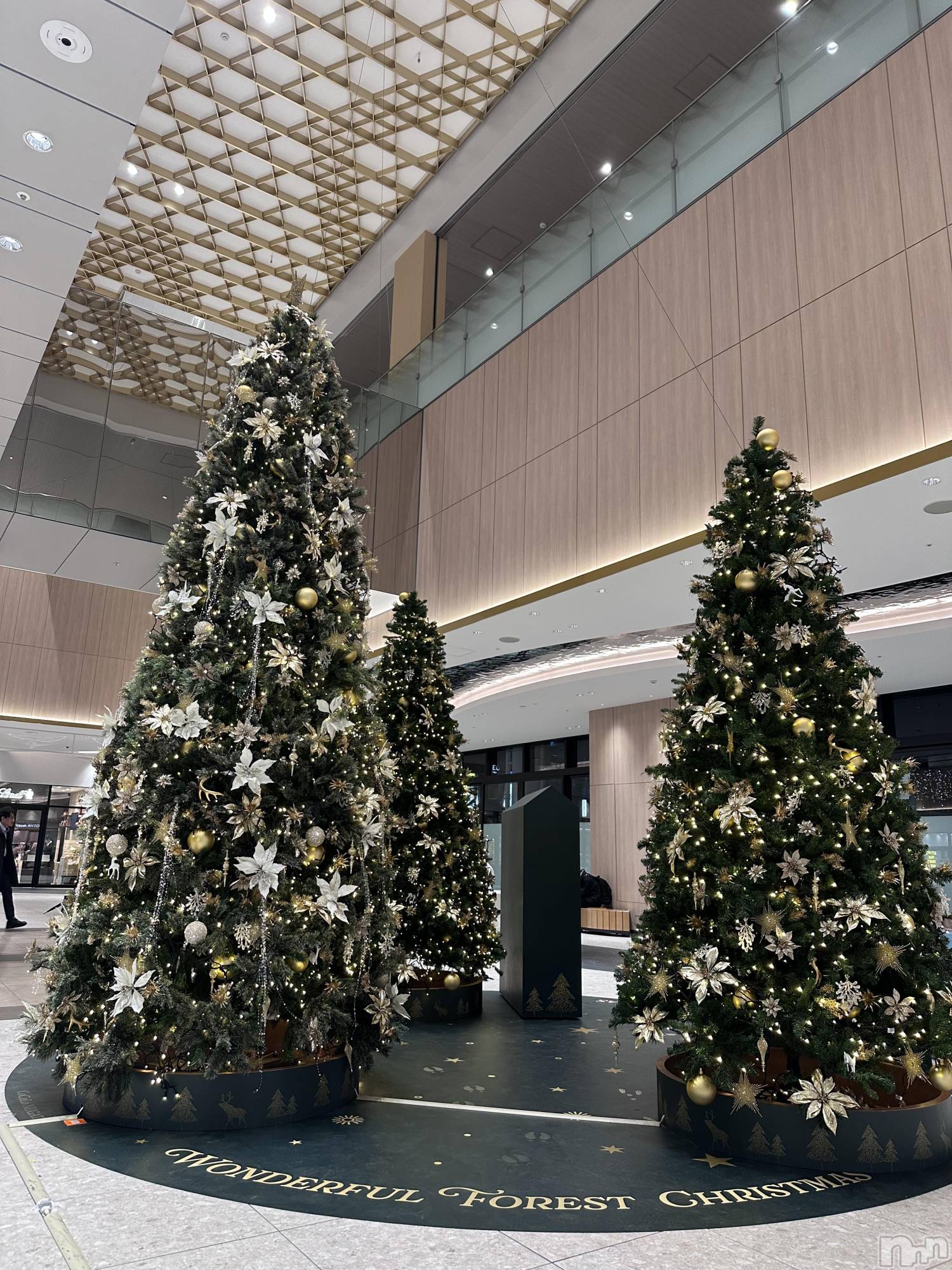 Х顦Armada(ޡ) 2025ǯ121̥֥💘