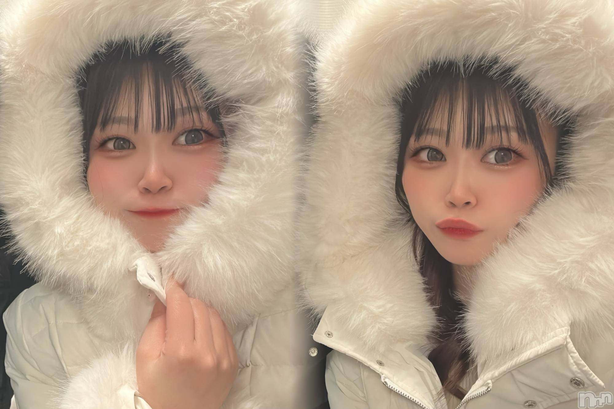 �����������Х��顦�����Armada(����ޡ���) ��2026ǯ1��7���̥�֥����֤椭�󤳡�