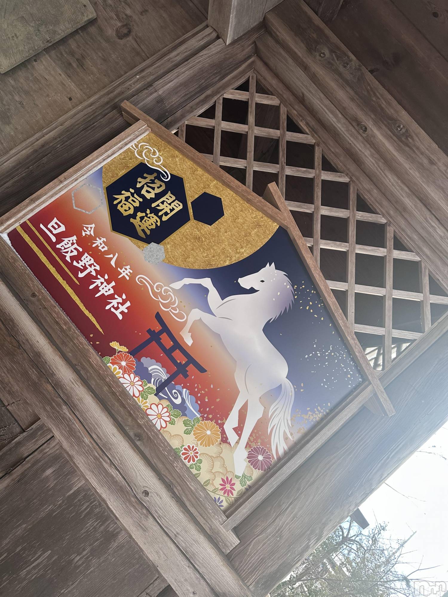 �����������Х��顦�����Armada(����ޡ���) ��2026ǯ1��14���̥�֥�����🐎��