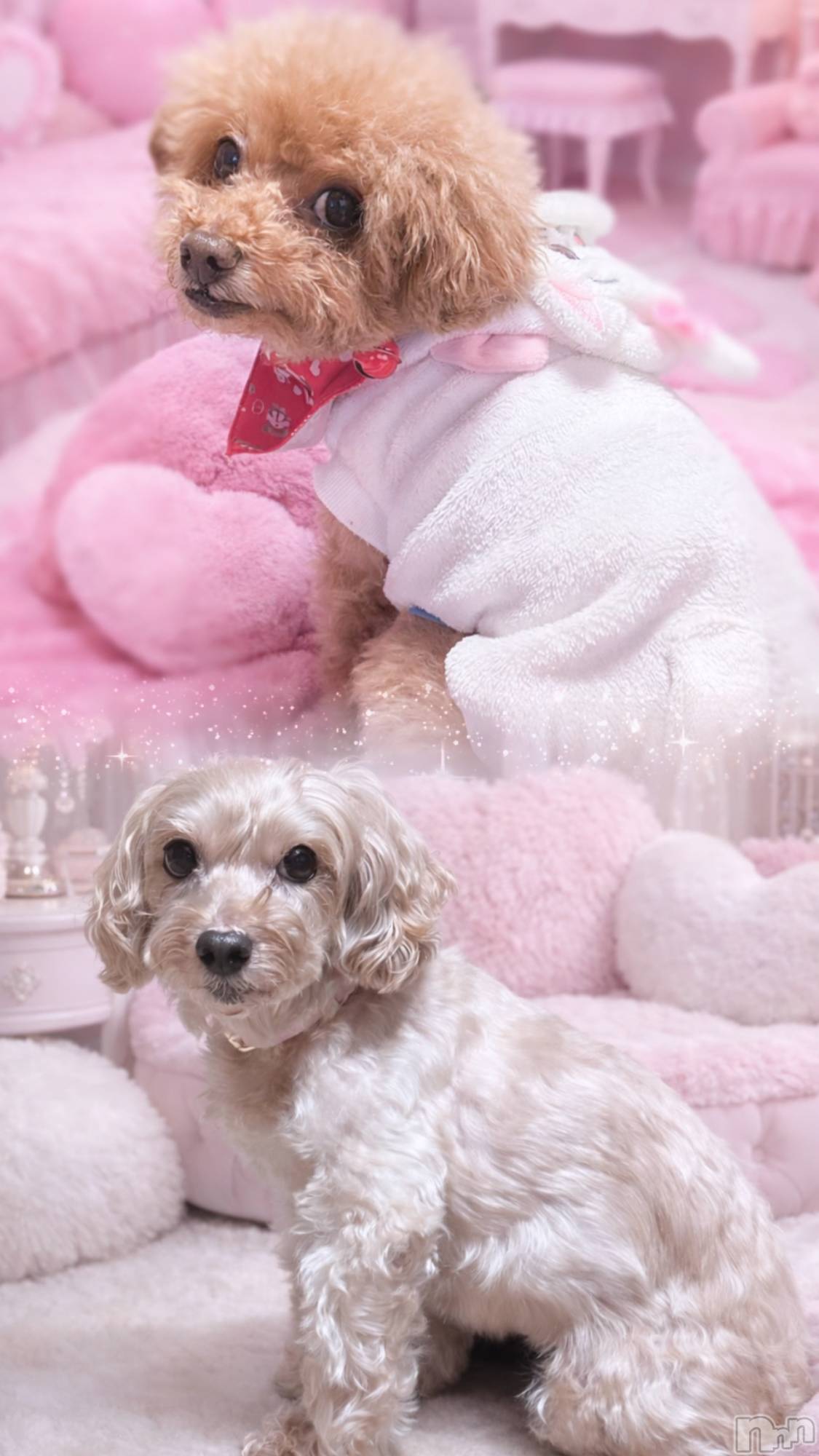 �����������Х��顦�����Armada(����ޡ���) ��2026ǯ3��10���̥�֥�����🎵��