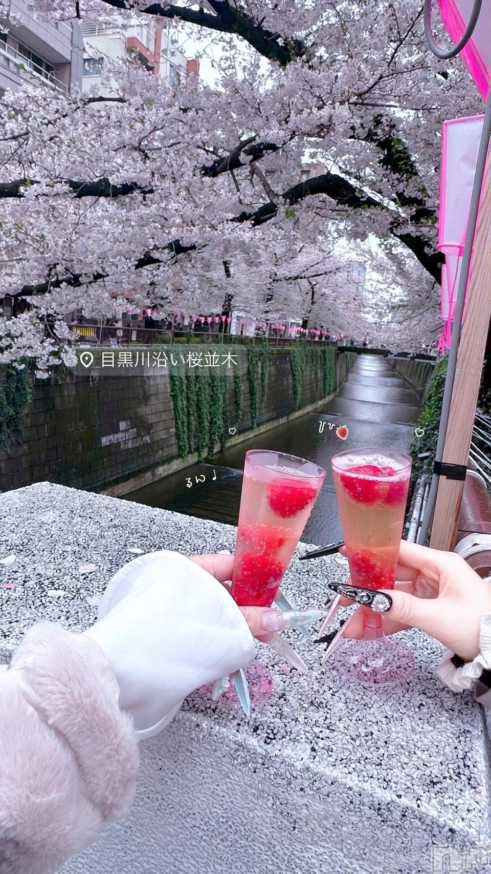 �����������Х��顦�����Armada(����ޡ���) ��2026ǯ4��3���̥�֥����֤� ̫ ‹ ♡��