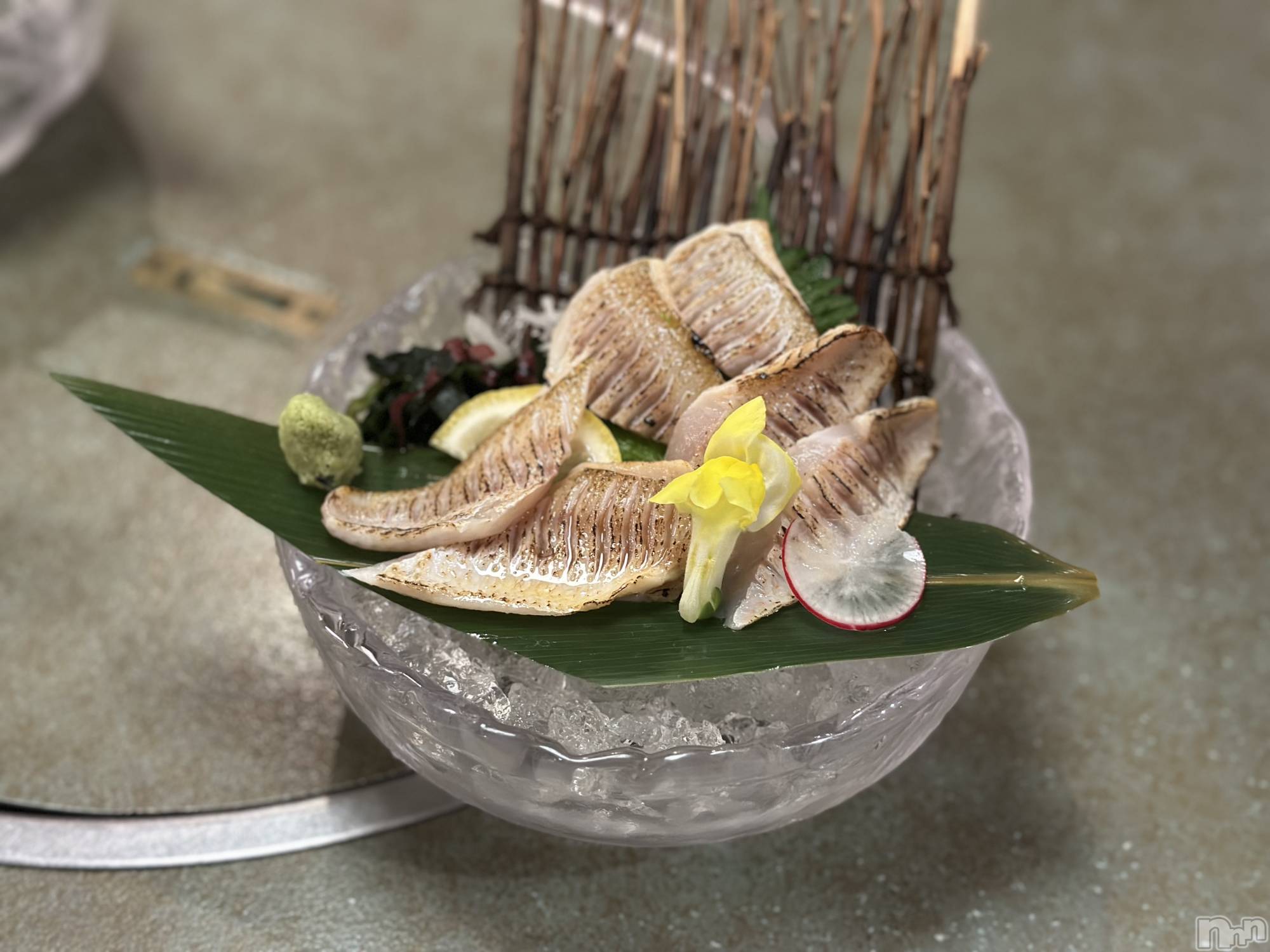 �����������Х��顦�����Armada(����ޡ���) ��2026ǯ4��8���̥�֥�����🫂��