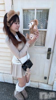 �����������Х��顦�����Armada(����ޡ���) �ߤ��ۤ�3��22���̥�֥�����🧸��