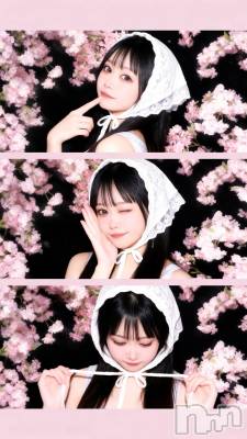 �����������Х��顦�����Armada(����ޡ���) �ߤ��ۤ�3��28���̥�֥����������