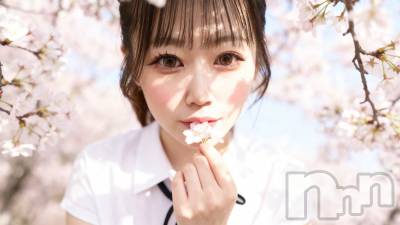 �����������Х��顦�����Armada(����ޡ���) �ߤ��ۤ�3��31���̥�֥�����3���