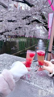 �����������Х��顦�����Armada(����ޡ���) �ߤ��ۤ�4��3���̥�֥����֤� ̫ ‹ ♡��