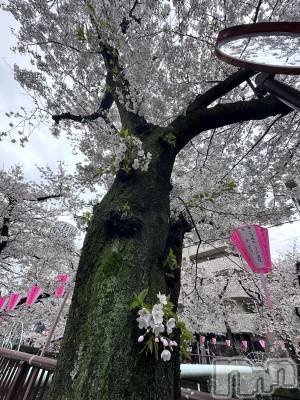 �����������Х��顦�����Armada(����ޡ���) �ߤ��ۤ�4��12���̥�֥�����⸌̟͂̋⸍̑⸜̑⸝͂ ໋��