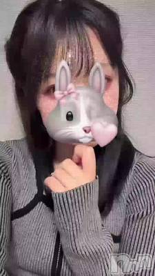 🐰ྀི