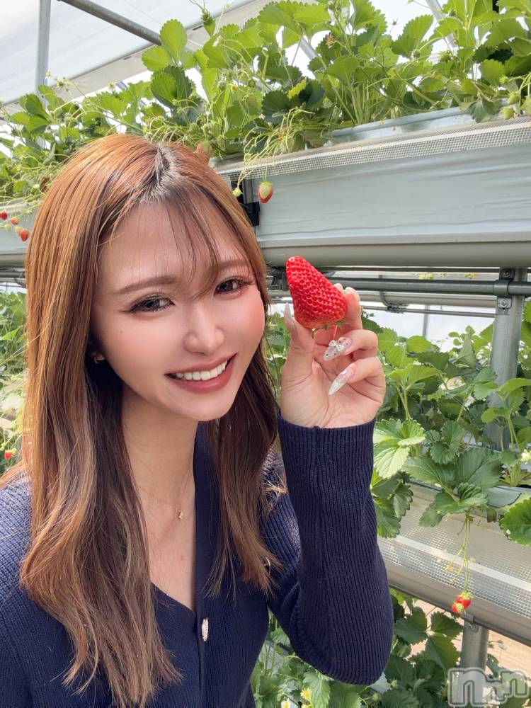 ��Į����Х��顦�����ILY(��������磻) ���ޤ�3��24���̥�֥����֡ڱ������աۺ����λ�˶�Ť��ȡġġ�