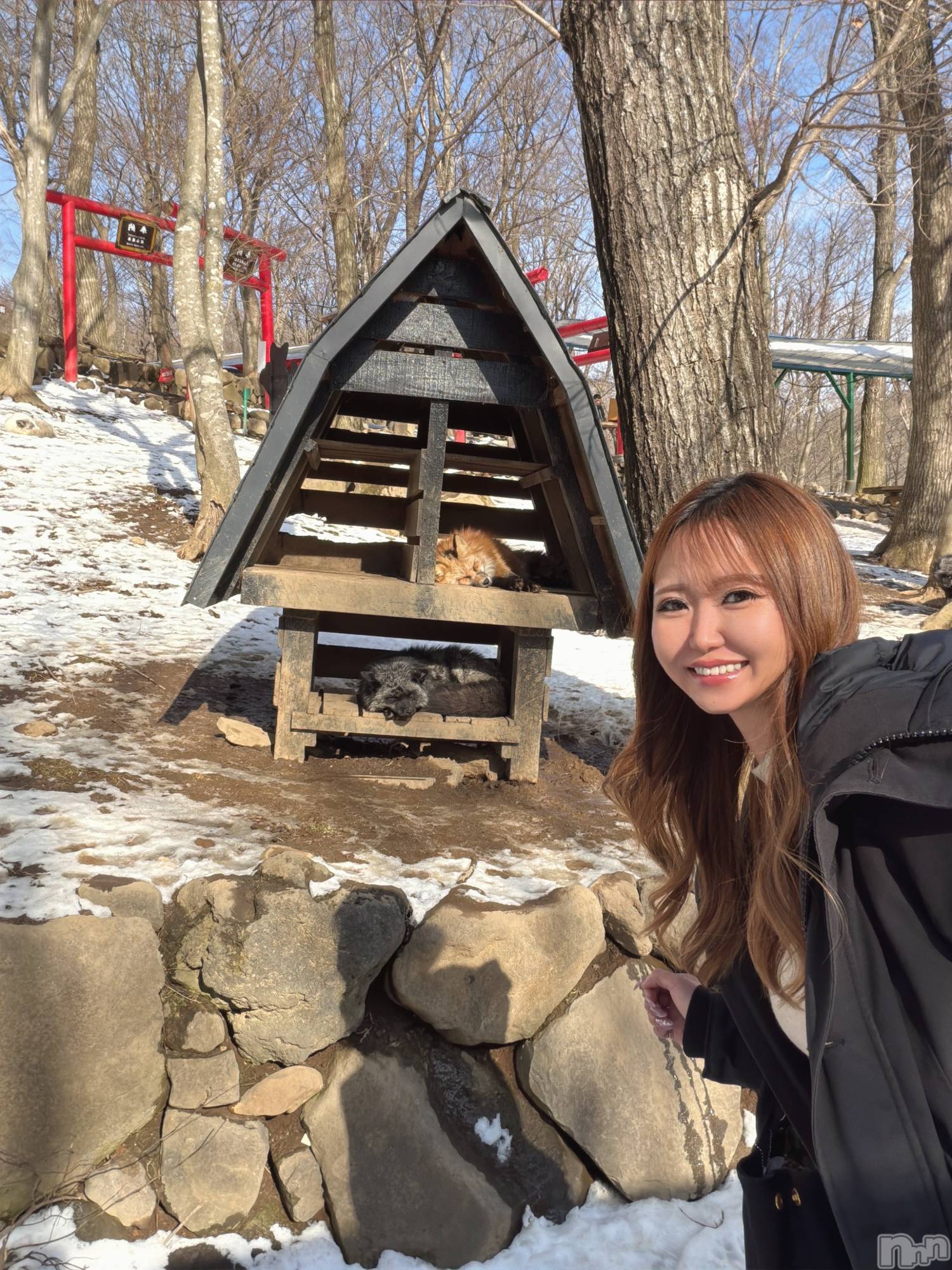 ��Į����Х��顦�����Club ILY(����֥����꡼) ��2026ǯ2��17���̥�֥����ֻפ����Ȥ�����ޤ��ơ�