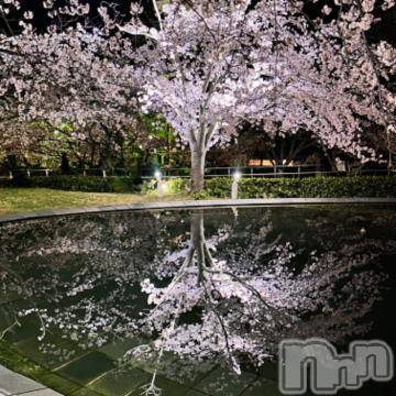 新潟デリヘル奥様特急 新潟店(オクサマトッキュウニイガタテン)さら(26)の2024年4月14日写メブログ「何て言うのかな？」