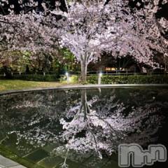 新潟デリヘル奥様特急 新潟店(オクサマトッキュウニイガタテン) さら(26)の4月14日写メブログ「何て言うのかな？」
