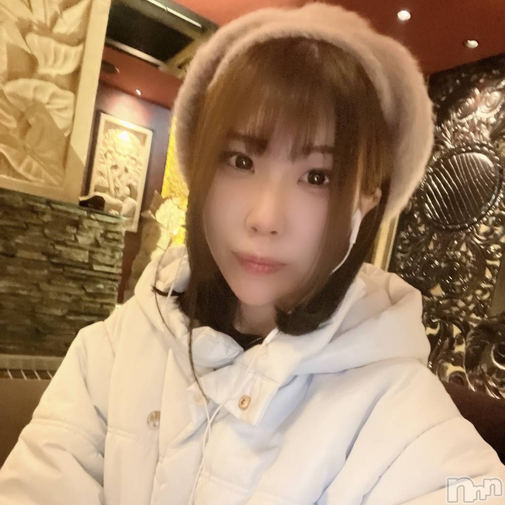 ƲХ顦151-A() 213̥֥ȱڤä