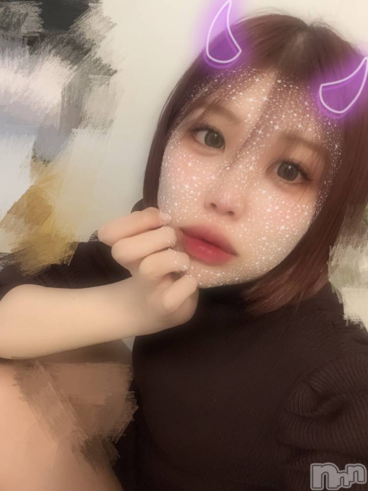 ƲХ顦151-A() 510̥֥ϡ