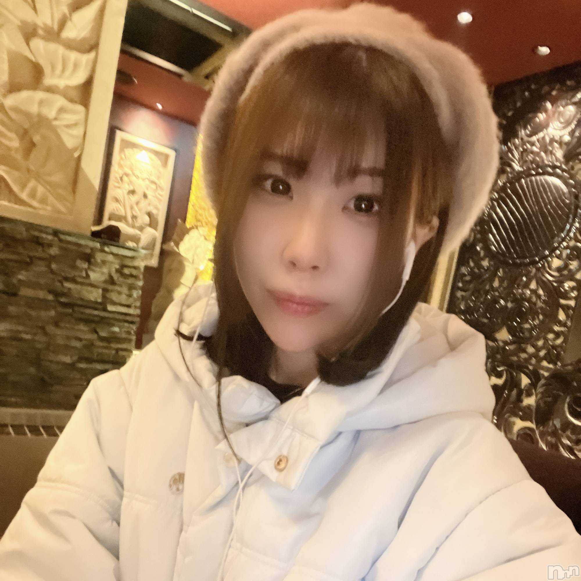 ƲХ顦151-A() 2025ǯ213̥֥ȱڤä
