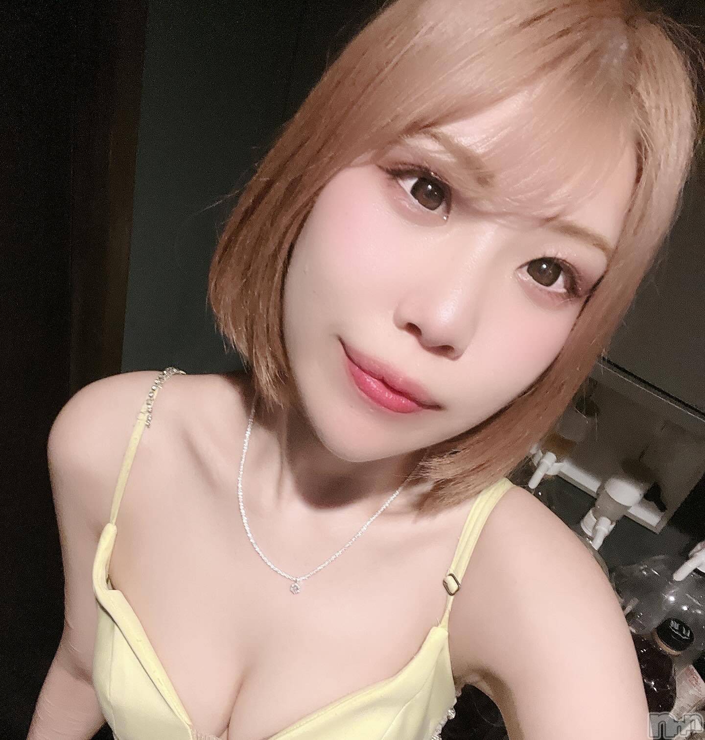 ƲХ顦151-A() 2025ǯ417̥֥֤뵤󤭡